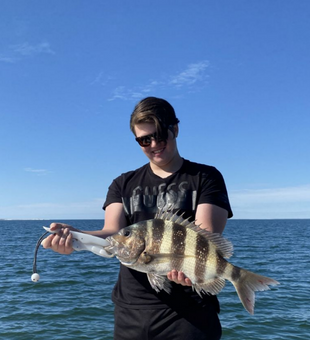 Port St. Joe Fishing: Sheepshead Caught!